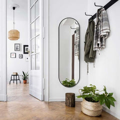Capsule mirror