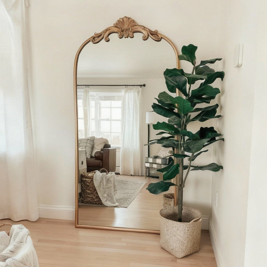 Living room with a large ornate mirror and a potted plant on a wooden floor.