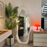 Modern interior with a large oval mirror, potted plant, and desk.
