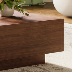 Veneer Coffee Table